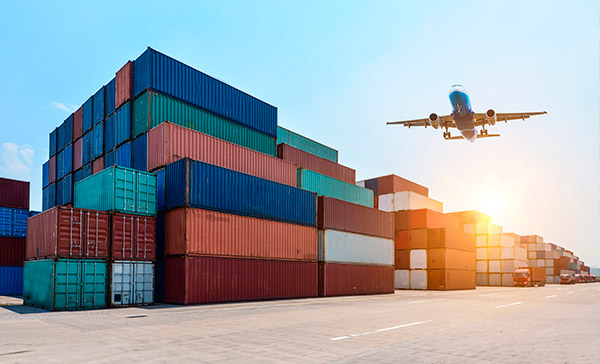 Supply-Chain-&-Logistics-Mito